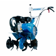   T 800  Hyundai (T 800)